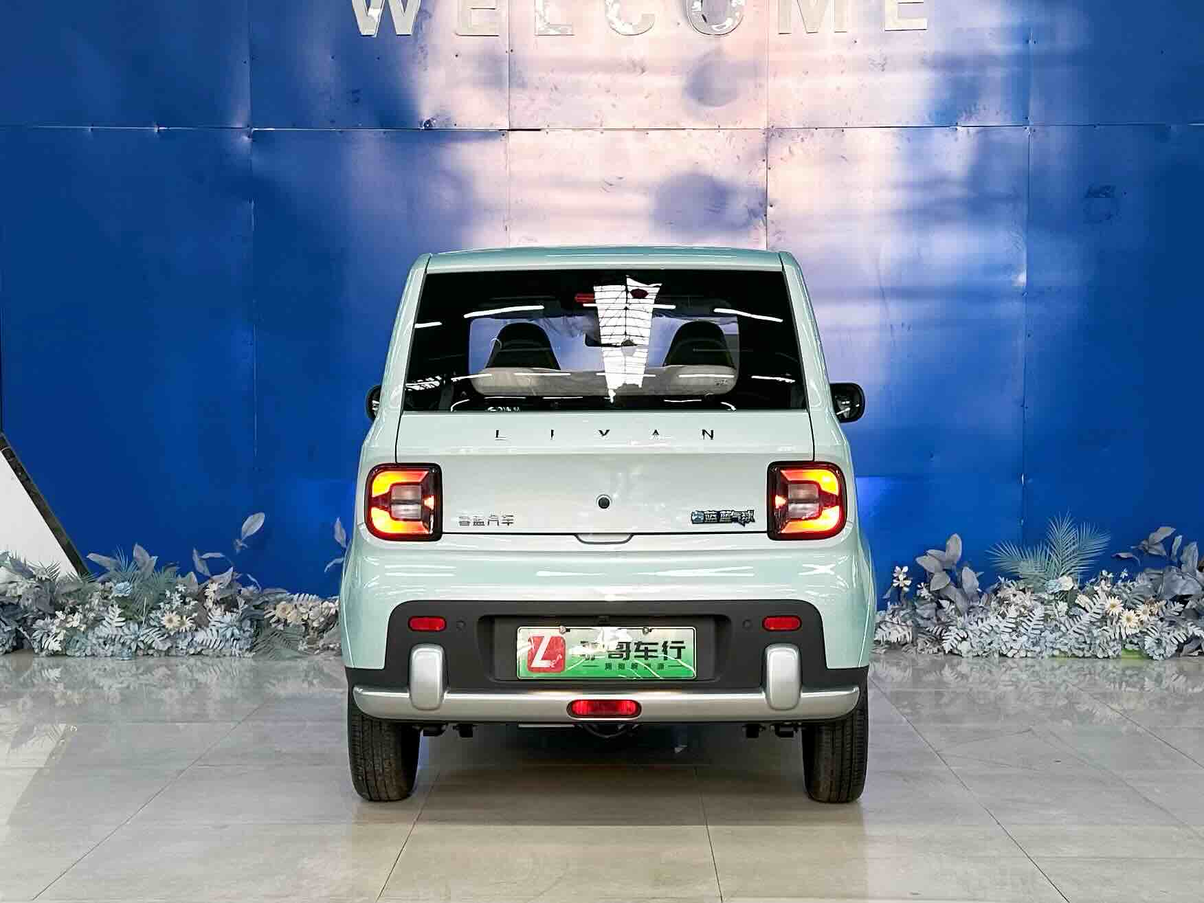 Livan 2026 #12 Livan 2026 imagen de coche #12