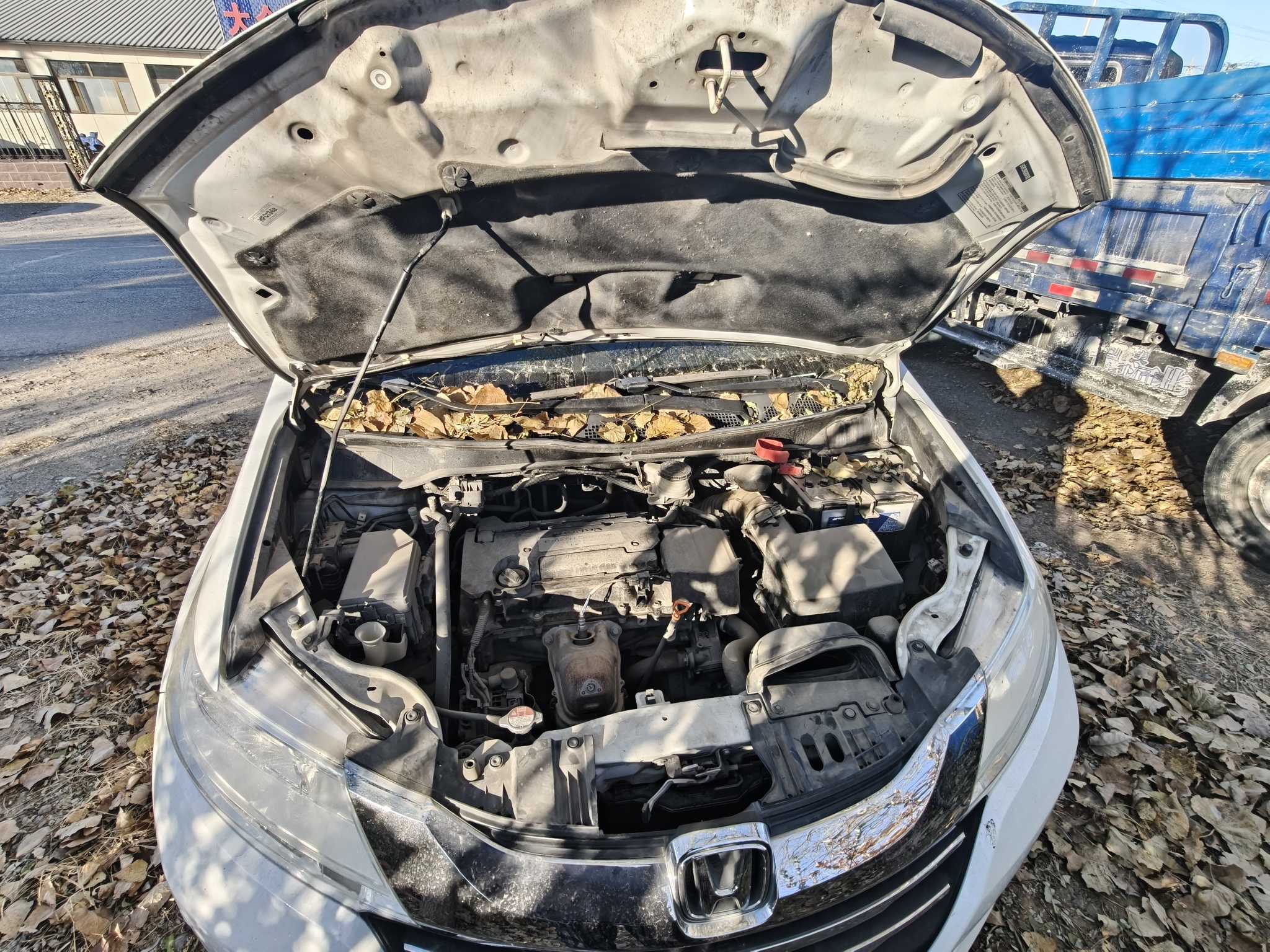 Honda e:NP2 2017 car image #12