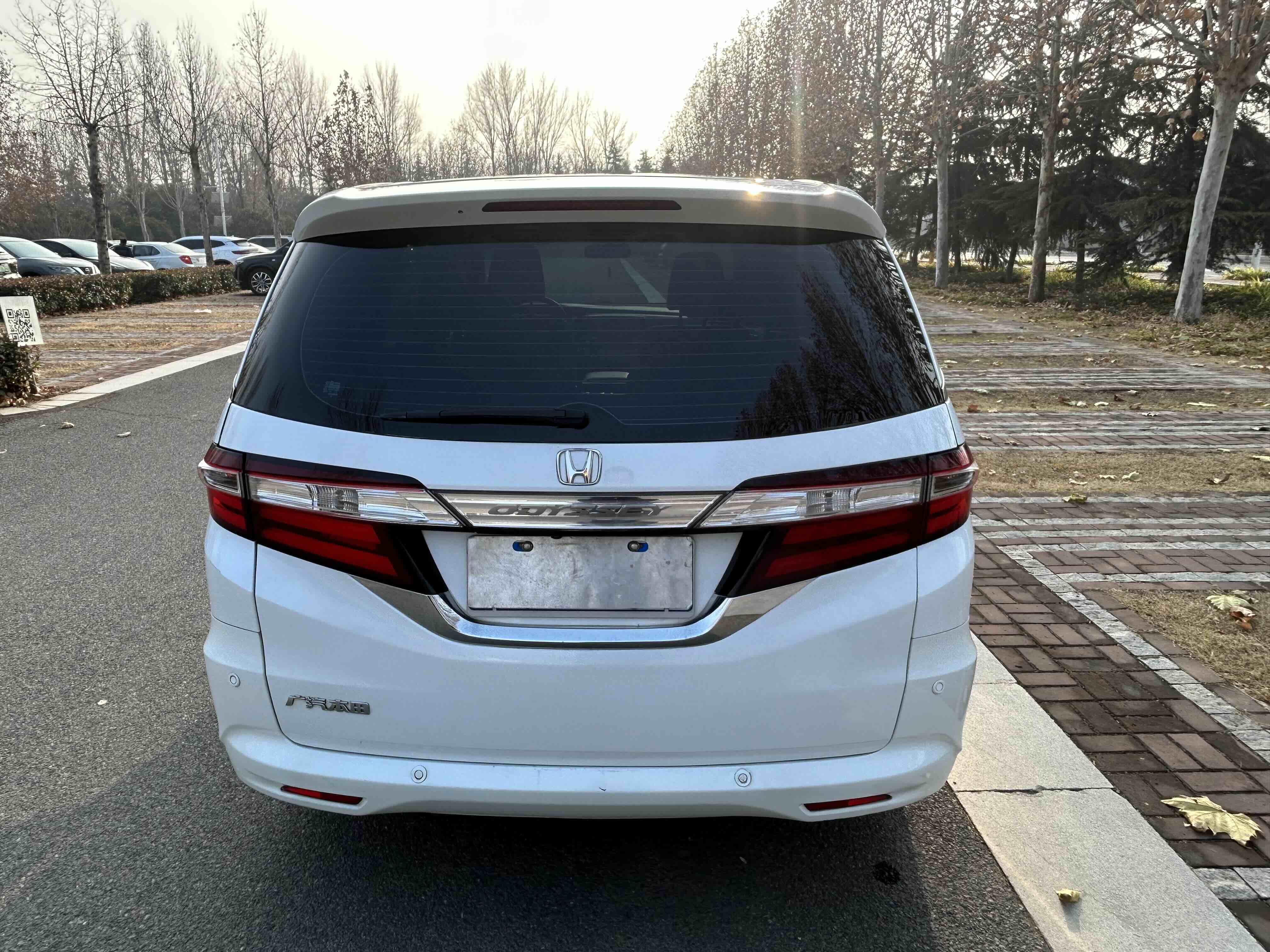 Honda ODYSSEY 2017 car image #12