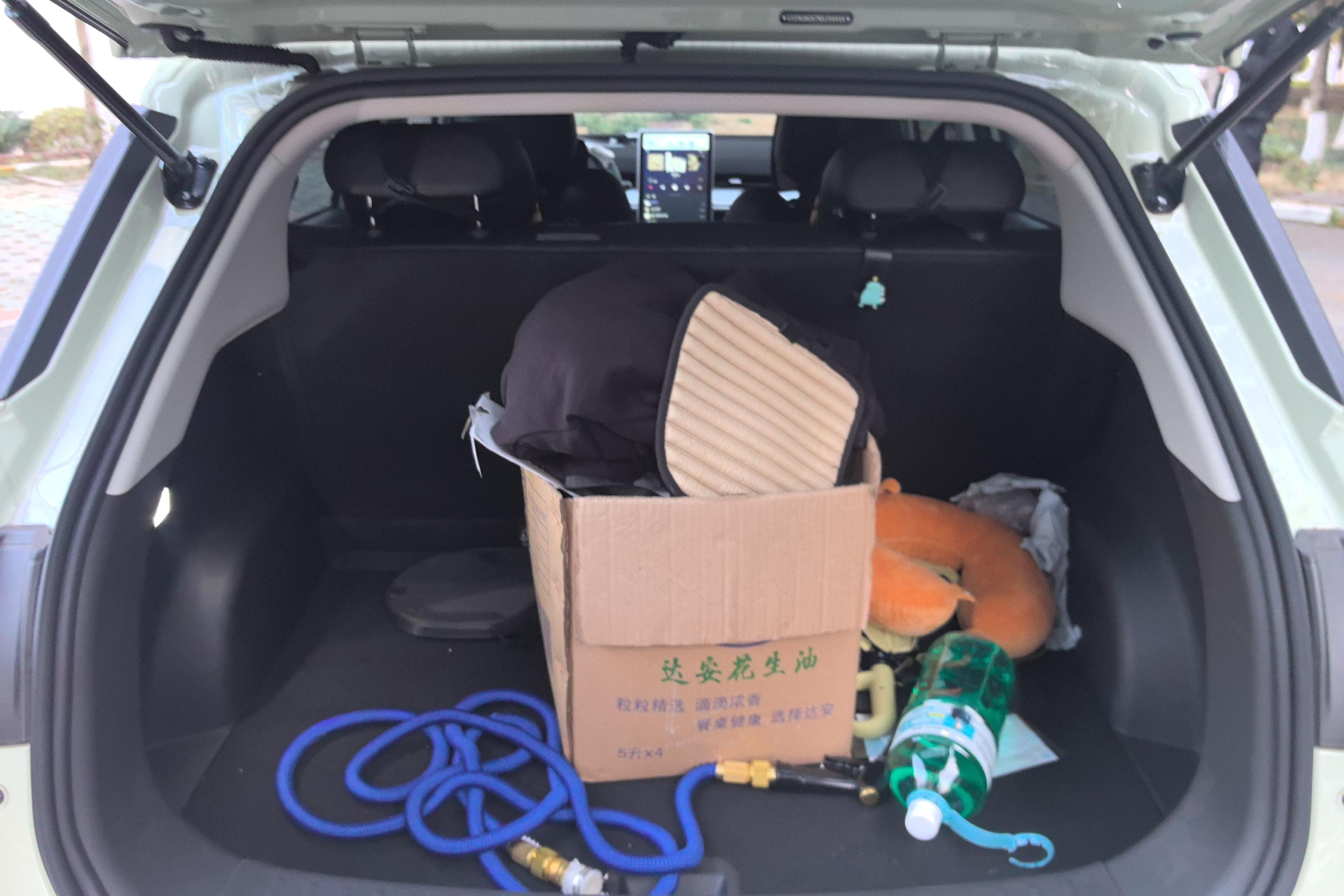 Neta L 2022 imagen de coche #12