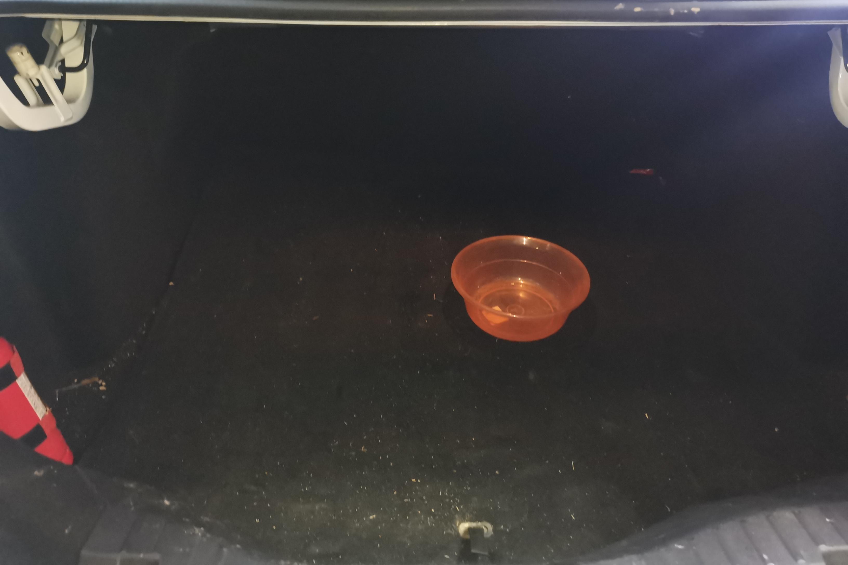 Ford Escort 2021 #12 Ford Escort 2021 car image #12