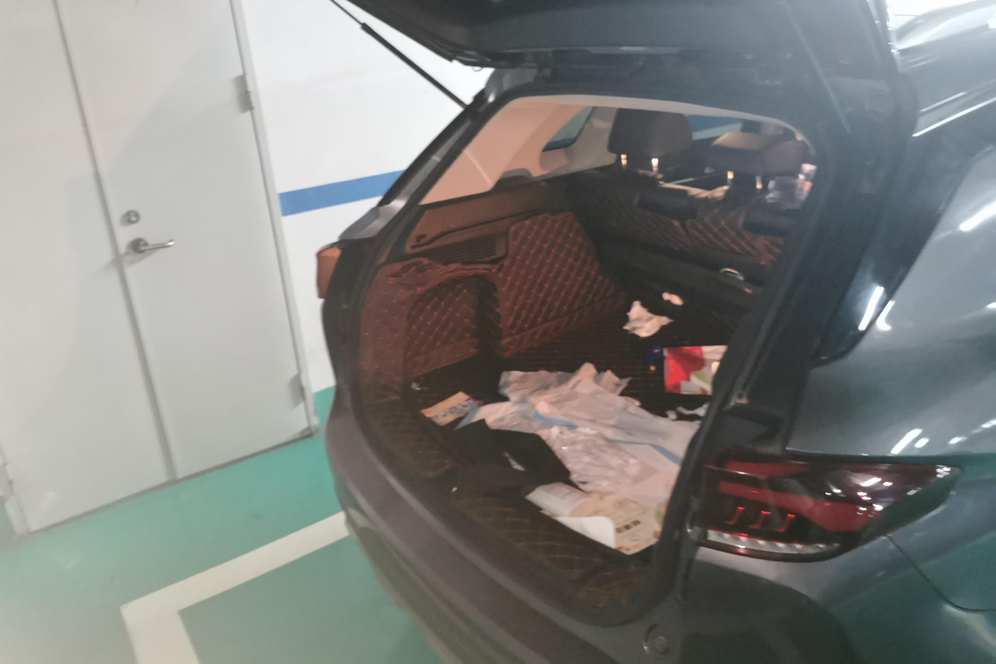 GAC Trumpchi GS5 2019 immagine di auto #12