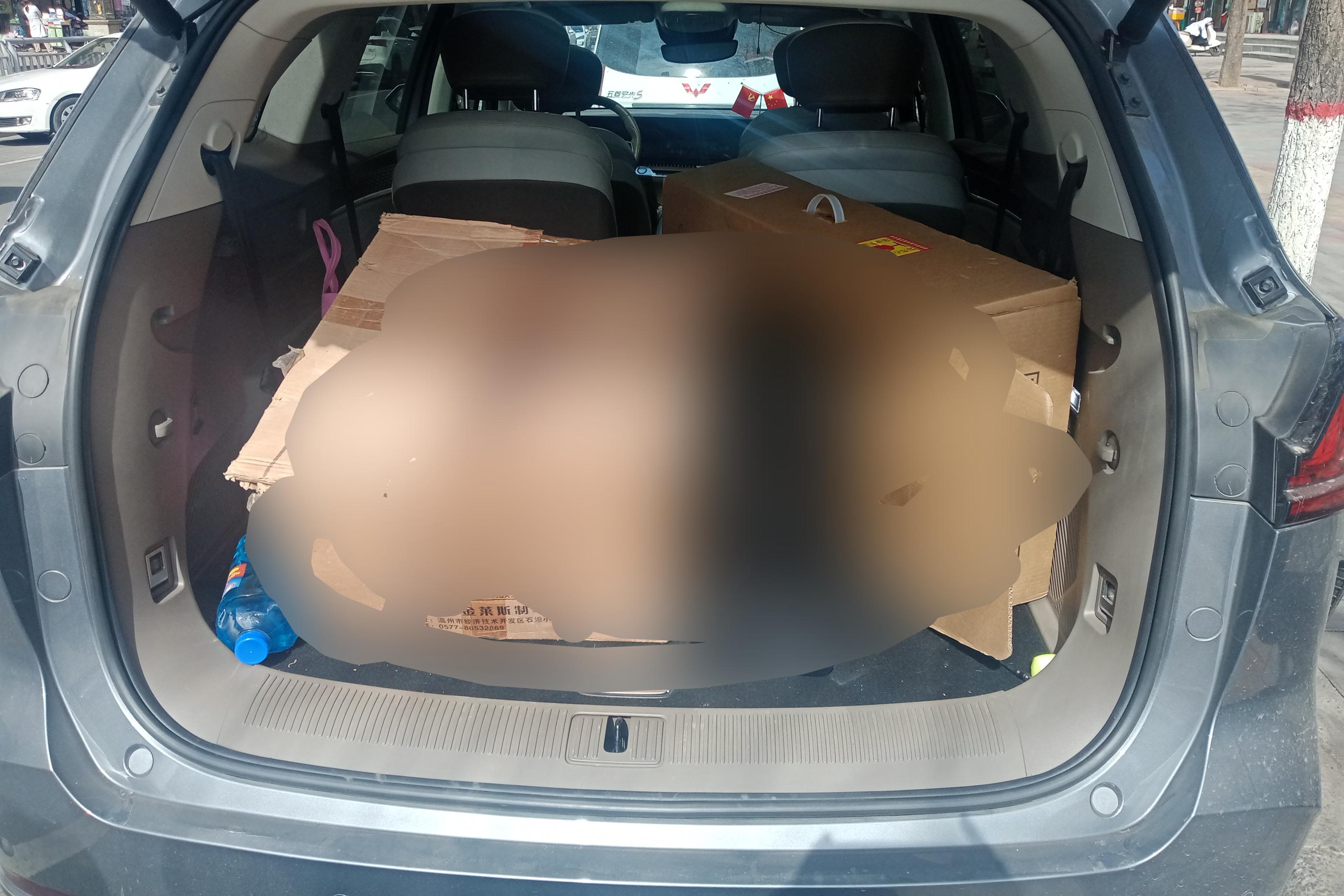 Roewe RX9 2023 image de voiture #12