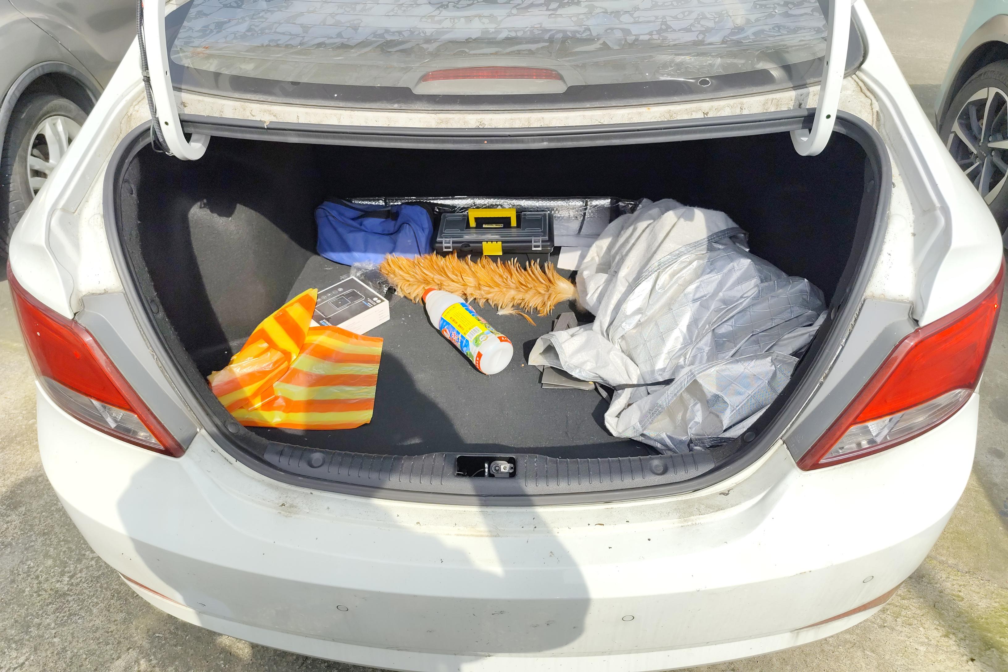 Hyundai Reina 2016 car image #12