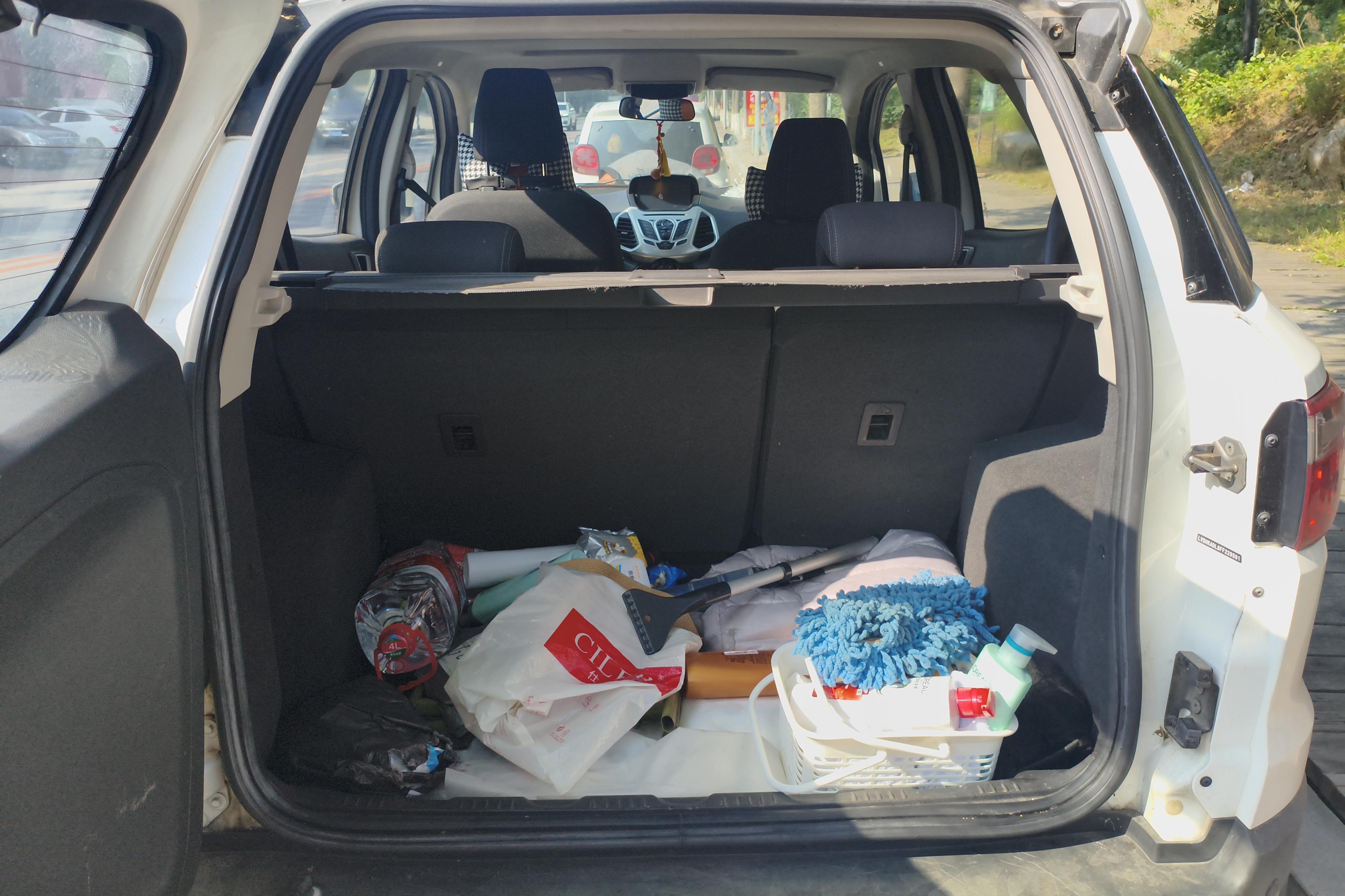 Ford EcoSport 2015 car image #12