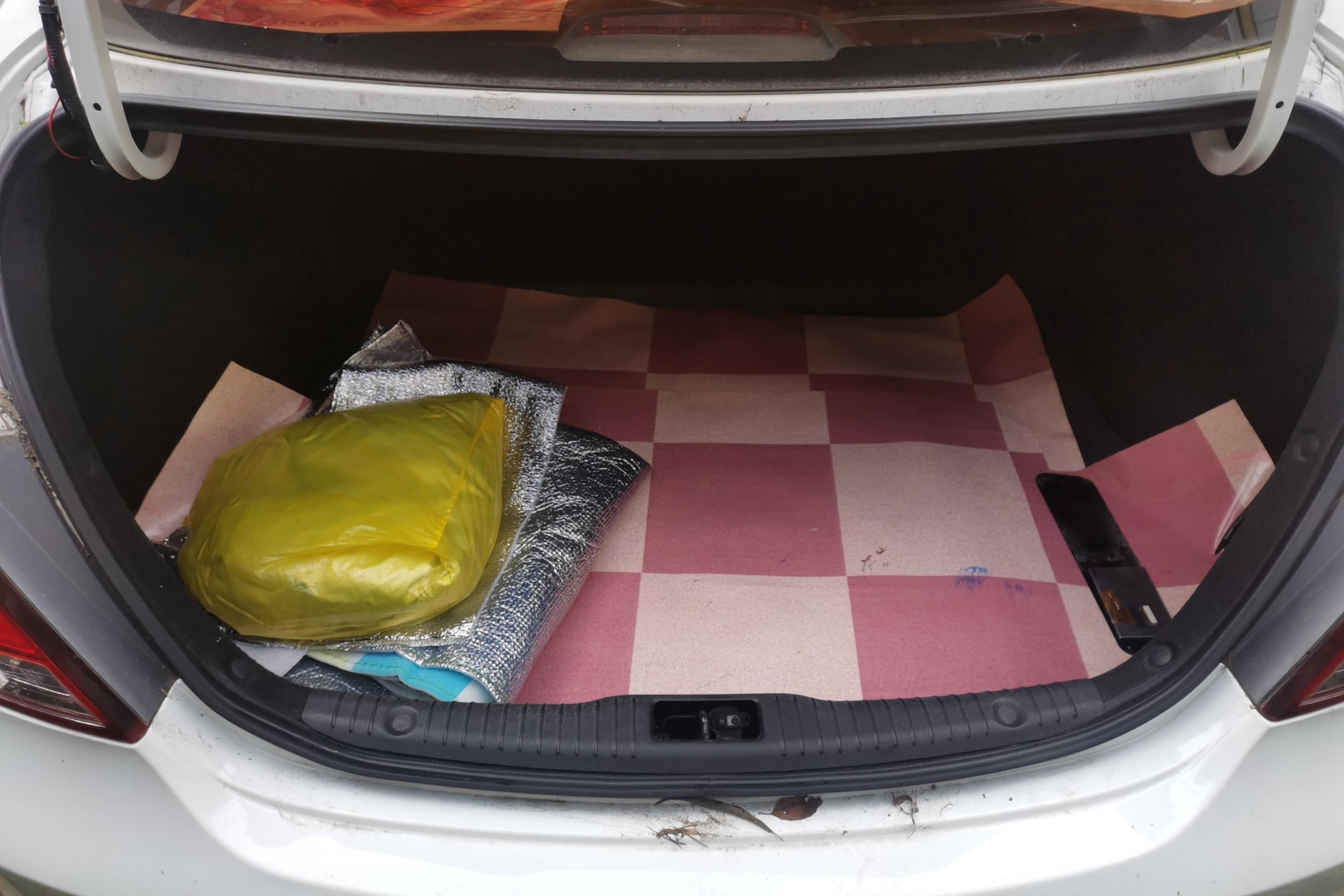 Hyundai Reina 2015 car image #12