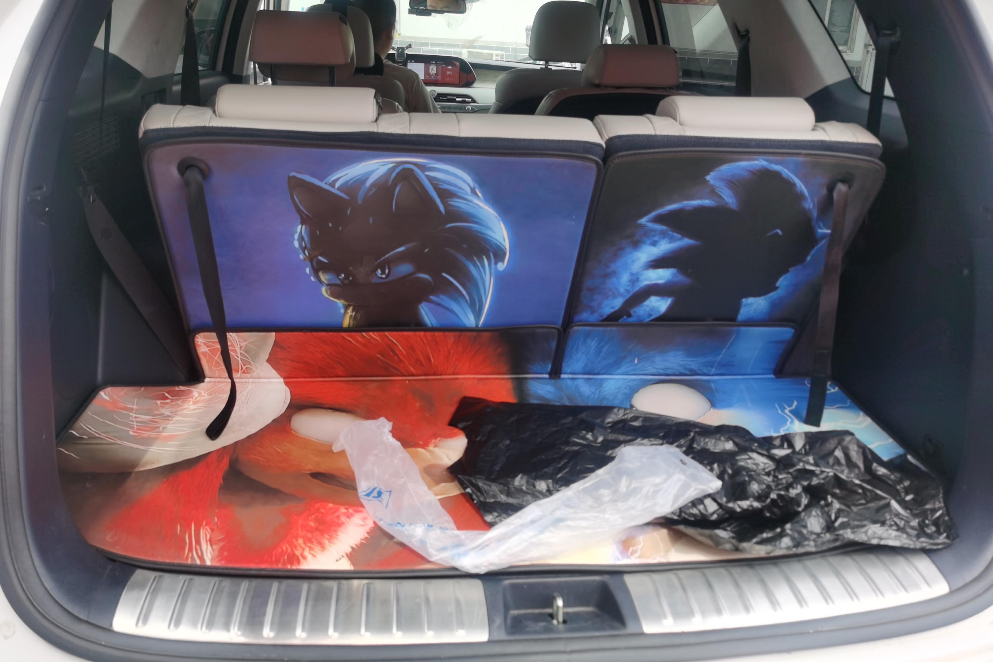 Hyundai Palisade 2020 car image #12