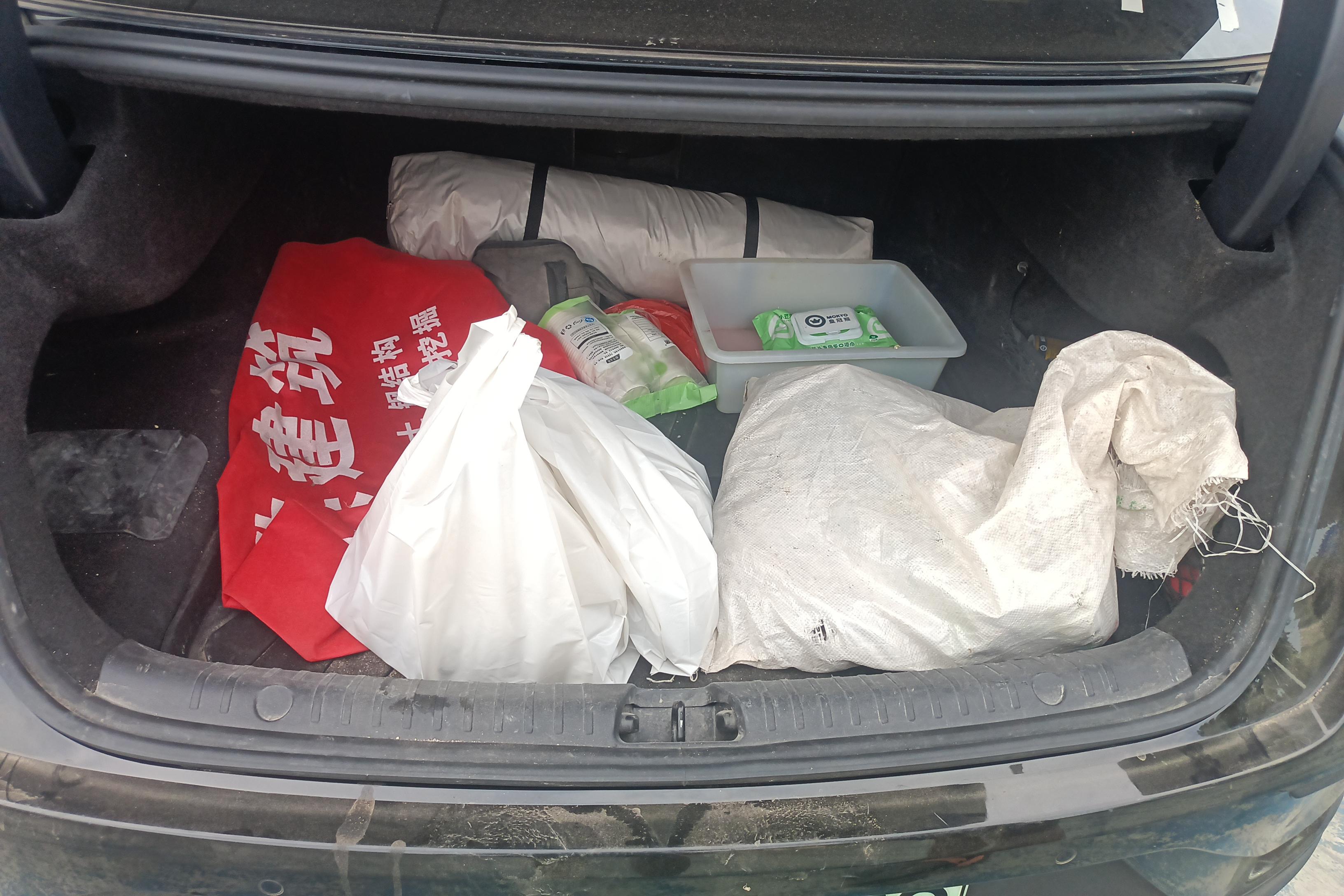 BYD Xia 2024 immagine di auto #12