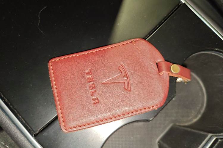 特斯拉 Model 3(进口) 2019 汽车图片 #12