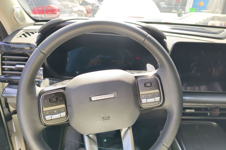 Haval Dargo 2023 car image #12