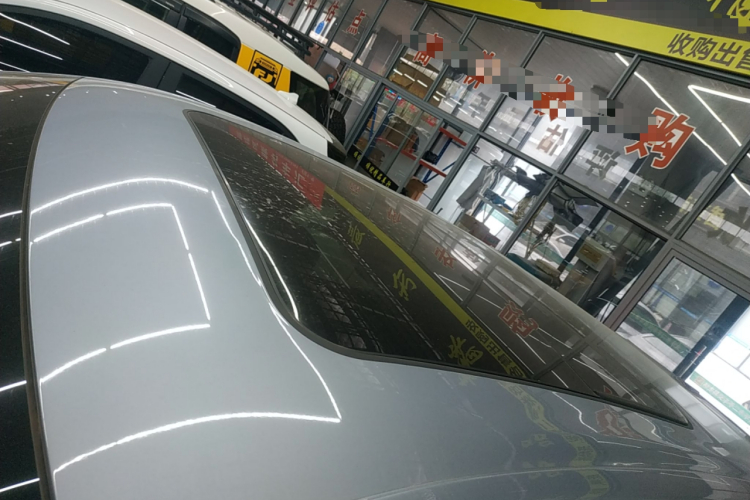 Neta L 2025 imagen de coche #12