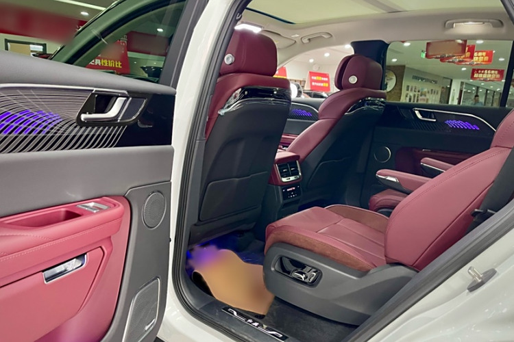 HongQi E-HS9 2024 car image #12