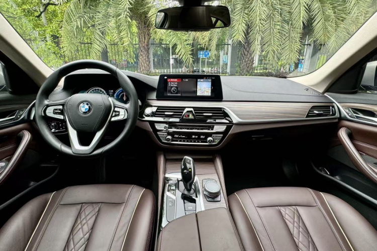 BMW 5 Series New Energy 2018 car image #12
