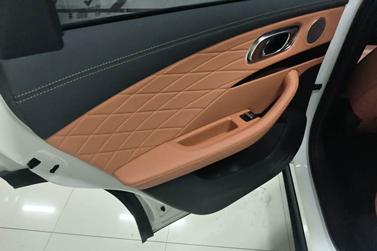 Neta L 2024 imagen de coche #12