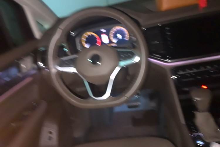 Volkswagen Viloran 2021 car image #12