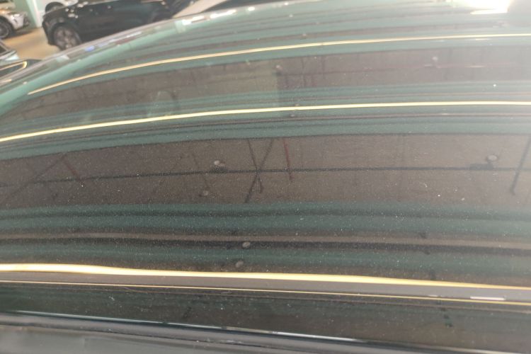 Zeekr MIX 2024 car image #12