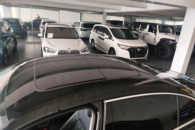 Volkswagen Magotan GTE 2022 car image #12