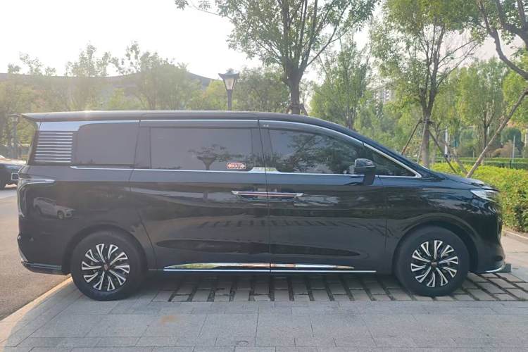 HongQi HQ9 PHEV 2024 immagine di auto #12