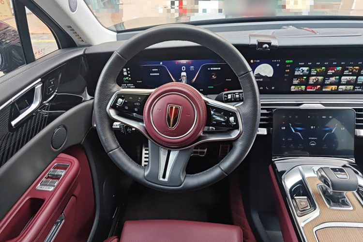 HongQi E-HS9 2022 car image #12