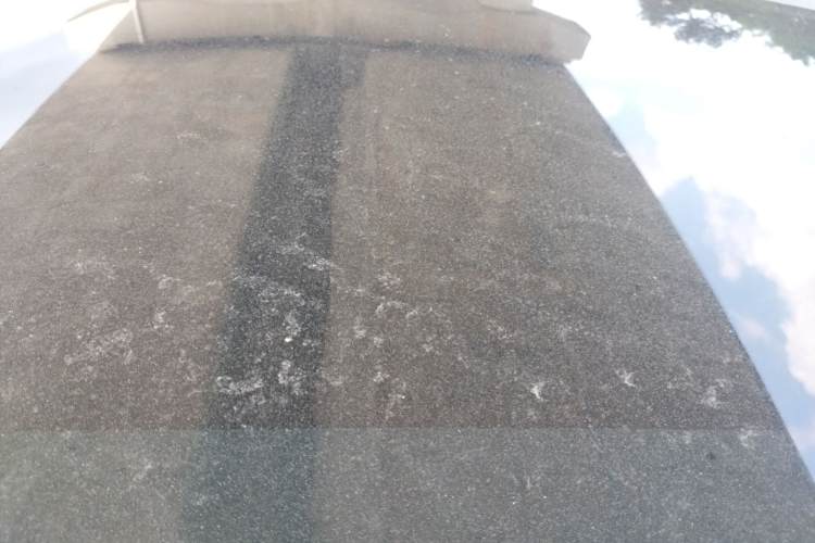 GEELY Emgrand GSe 2017 #12 GEELY Emgrand GSe 2017 car image #12