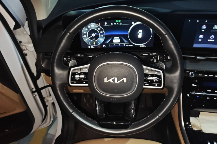 Kia Carnival 2021 immagine di auto #12