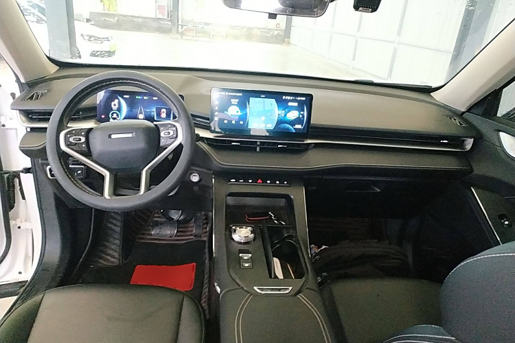 Haval H6 2022 immagine di auto #12