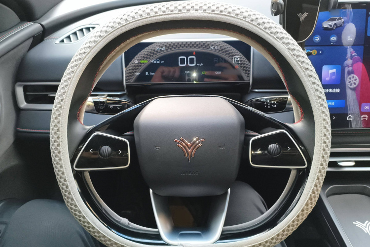 Neta X 2024 imagem de carro #12