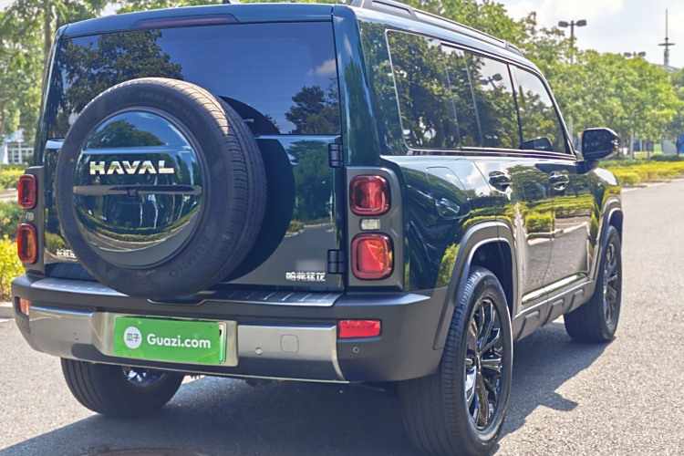 Haval Raptor 2025 immagine di auto #12