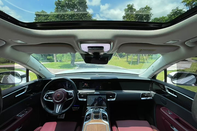 HongQi E-HS9 2021 immagine di auto #12