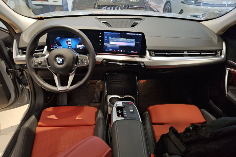 BMW X2 (Imported) 2024 imagen de coche #12