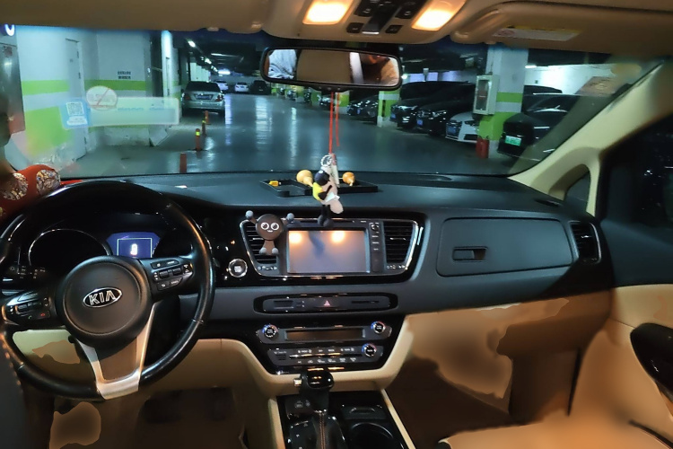 Kia Carnival (Imported) 2016 изображение автомобиля #12