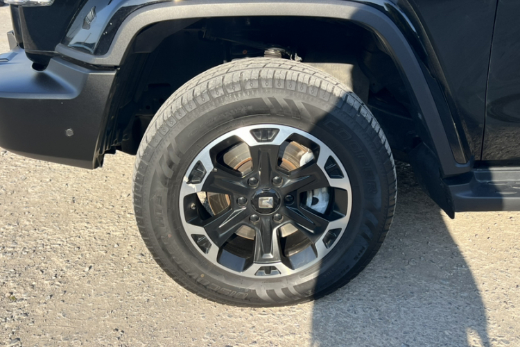 Tank 300 New Energy 2024 #12 Tank 300 New Energy 2024 immagine di auto #12