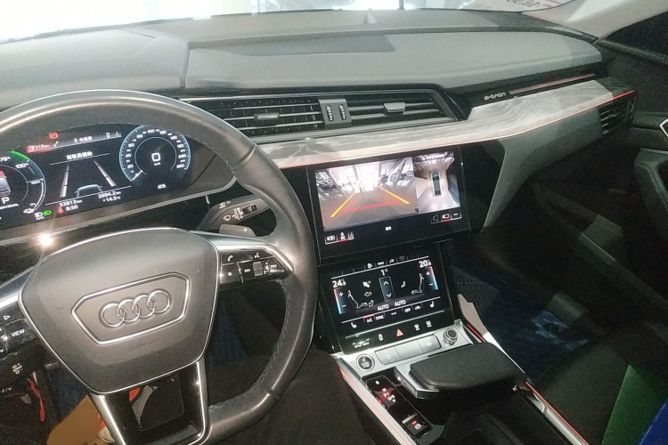 Audi e-tron (Imported) 2022 car image #12