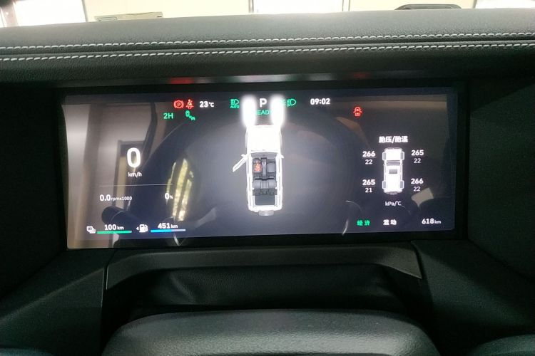 Tank 300 New Energy 2025 car image #12