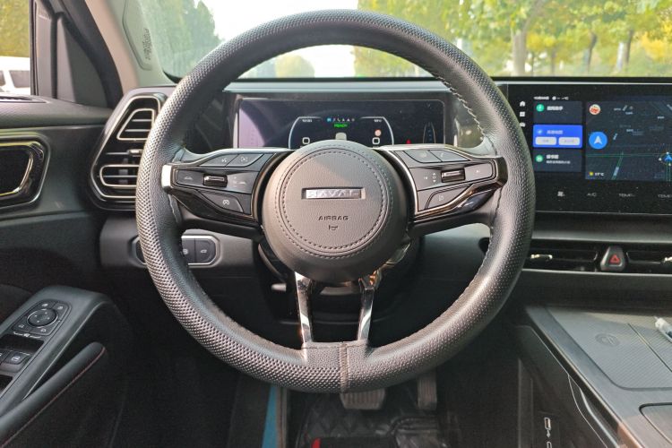 Haval Fierce Dragon 2024 car image #12