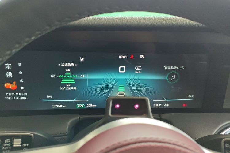 HongQi E-HS9 2021 immagine di auto #12