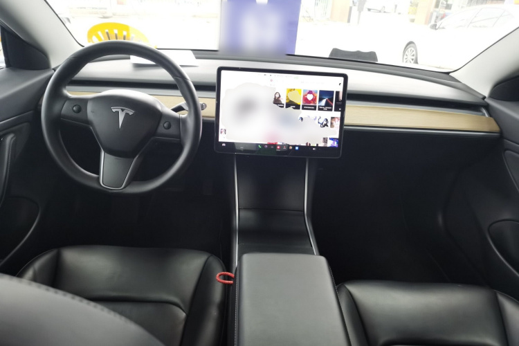 特斯拉 Model 3(进口) 2019 汽车图片 #12