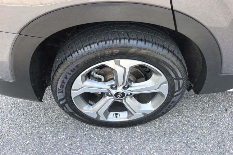 Neta S Shooting Brake 2019 image de voiture #12