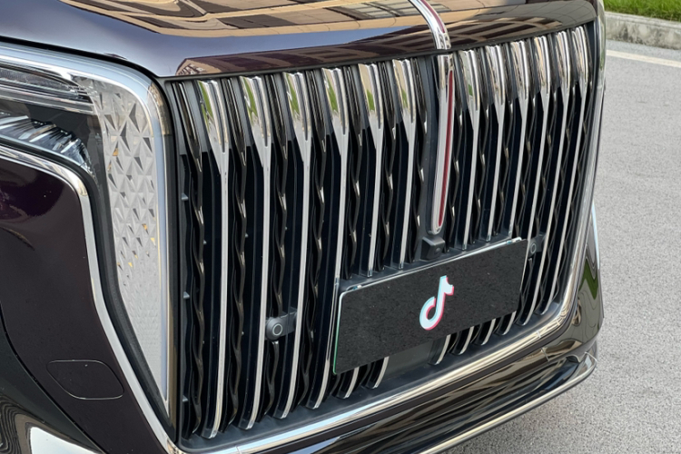 HongQi HQ9 PHEV 2024 car image #12