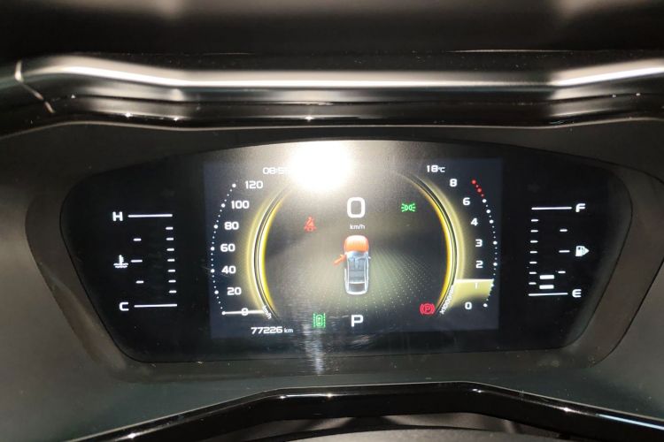 GEELY Tugella S 2021 immagine di auto #12