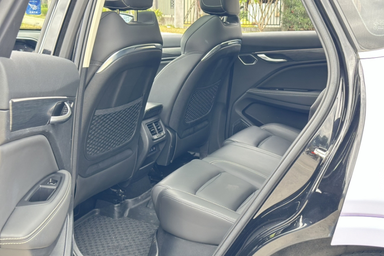 GEELY Tugella 2020 car image #12