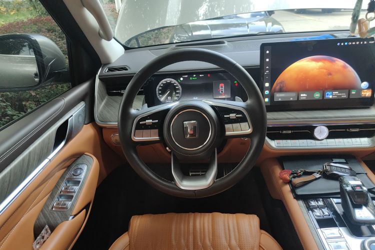 Tank 500 2023 car image #12