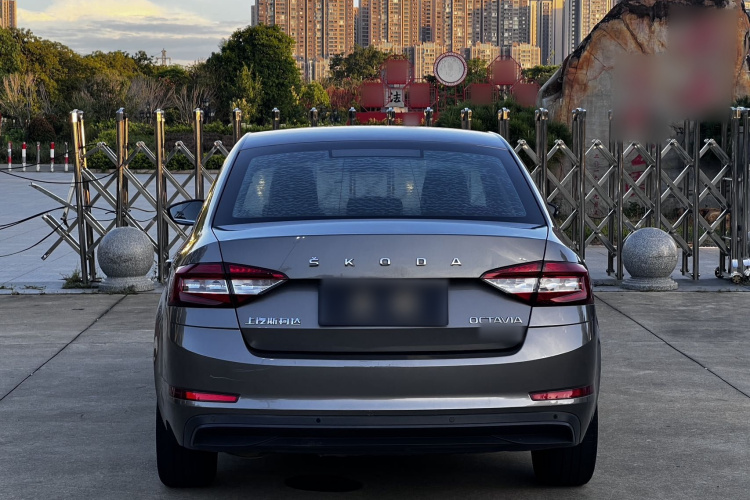 Skoda Octavia 2019 car image #12