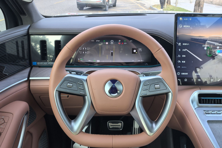 Denza N9 car image #12