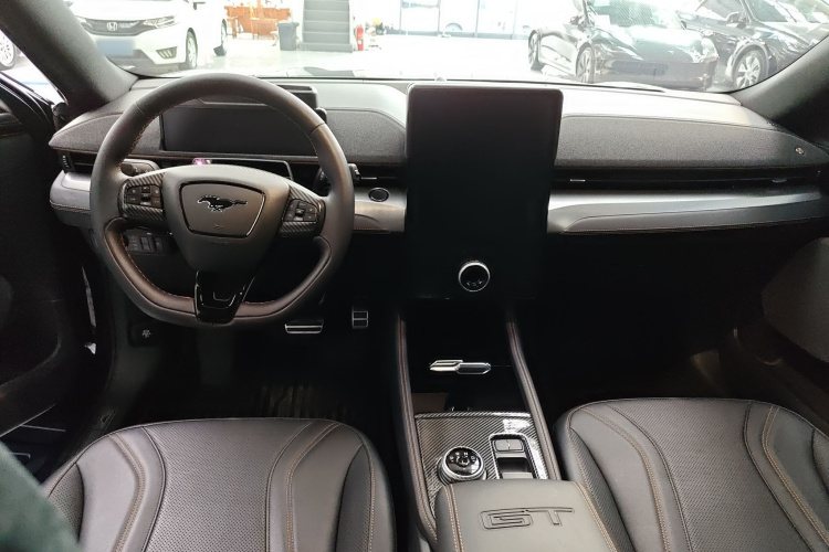 Ford Mustang Mach-E 2022 car image #12