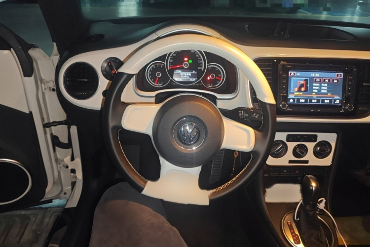 Volkswagen Beetle 2015 car image #12