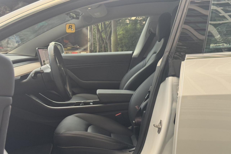 特斯拉 Model 3(进口) 2019 汽车图片 #12