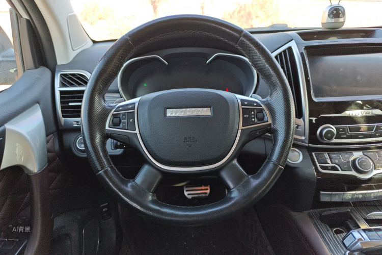 Haval H9 2020 car image #12