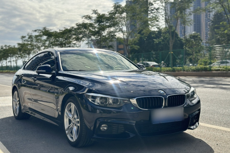 BMW 4 Series 2017 car image #12