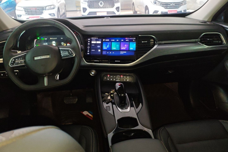 Haval F7x 2021 car image #12